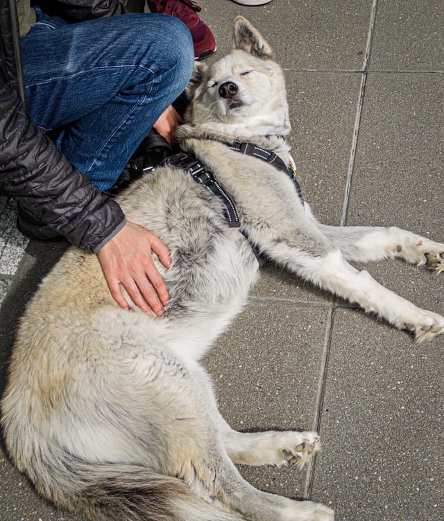 Waiting for the train to Bellevue