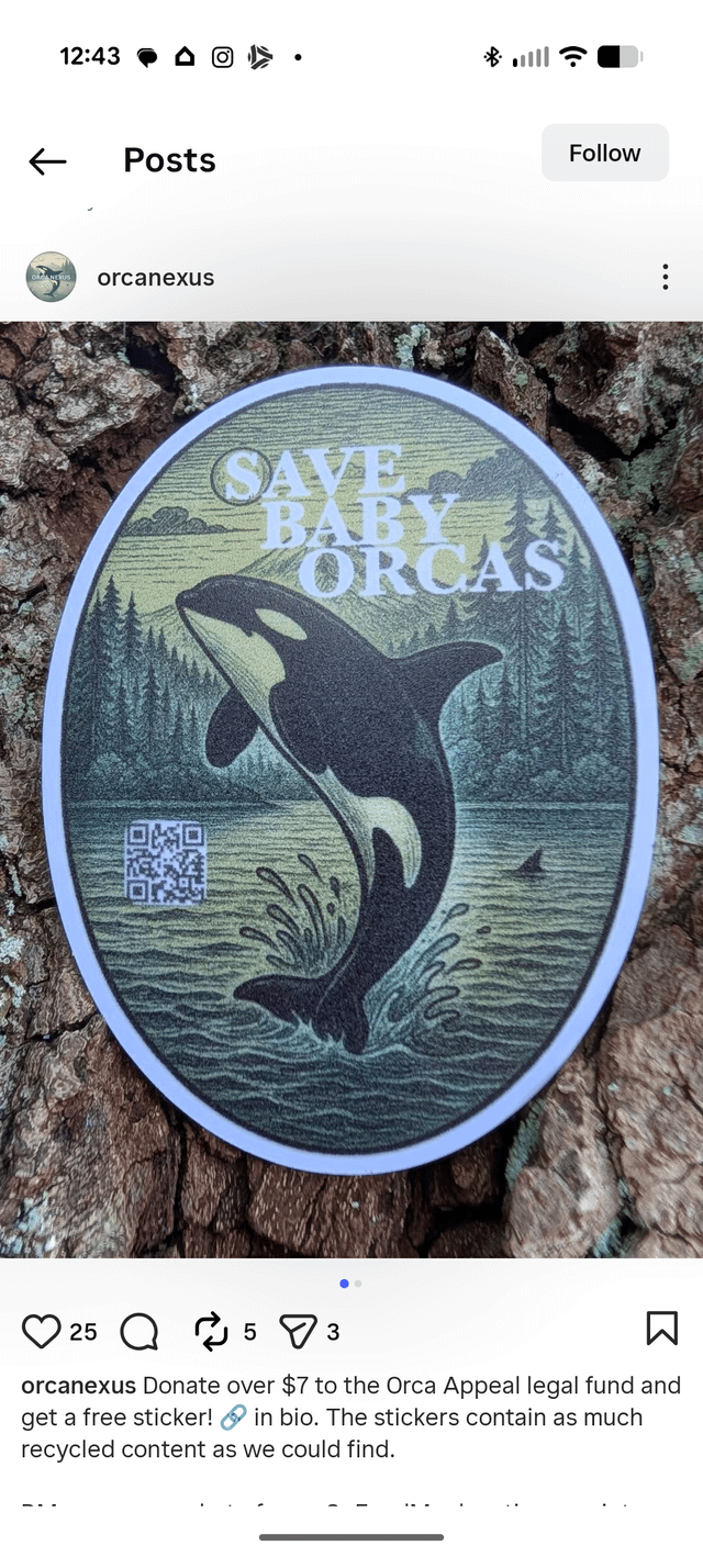 Activist now using AI art to solicit donations to fund her attempt to block Seattle upzoning via lawsuit and multiple appeals… All in the name of “saving baby orcas”