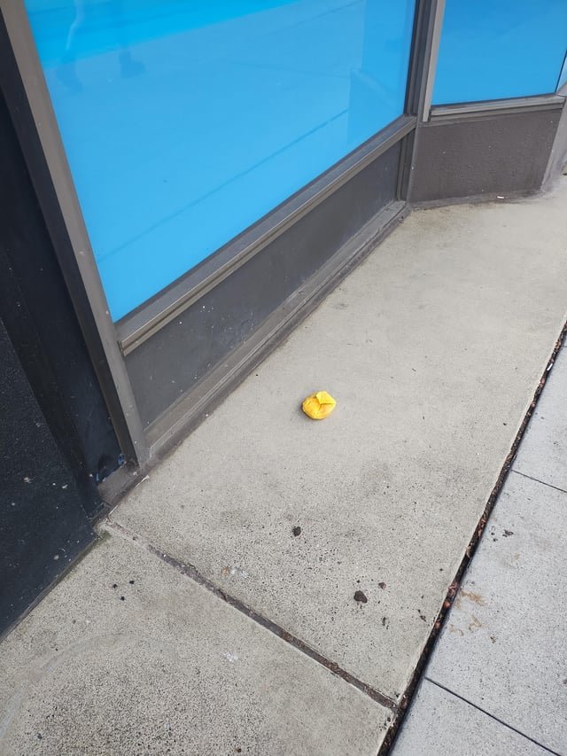 A Dick’s cheeseburger in it’s natural habitat – Never leaving Seattle