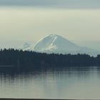 Admiring the scenery