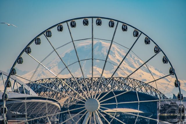 Her Majesty is out and gorgeous as ever! 😎