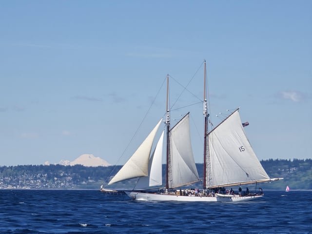 Adventurous Off Shilshole