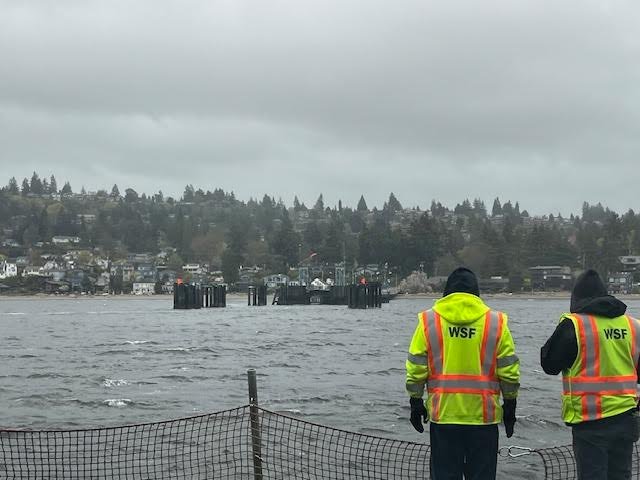 Here’s how Washington State Ferries plans to adjust for FIFA World Cup in Seattle