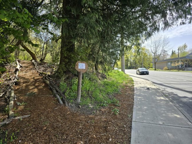 READER REPORT: Walking in Delridge Native Forest Garden