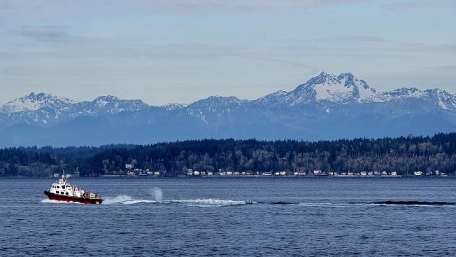 Our highlight list for your West Seattle Monday!