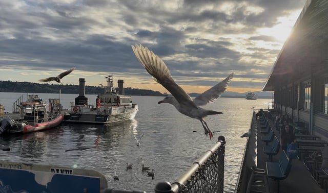 [OC] A gorgeous evening on the Seattle waterfront