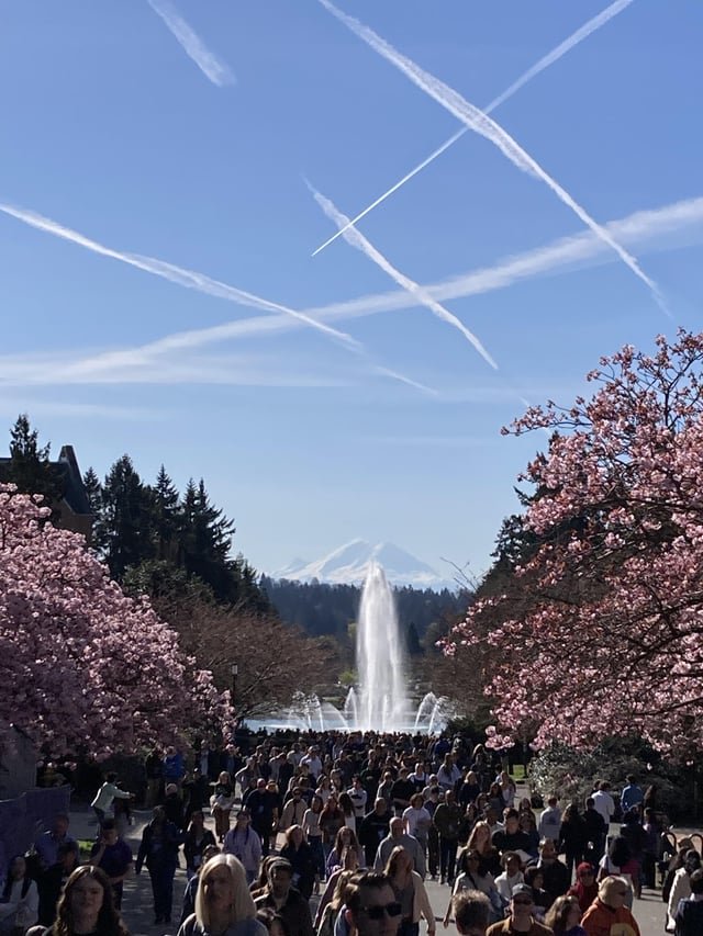 Absolutely breathtaking