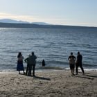 Can people please learn to maintain distance + respect wildlife??