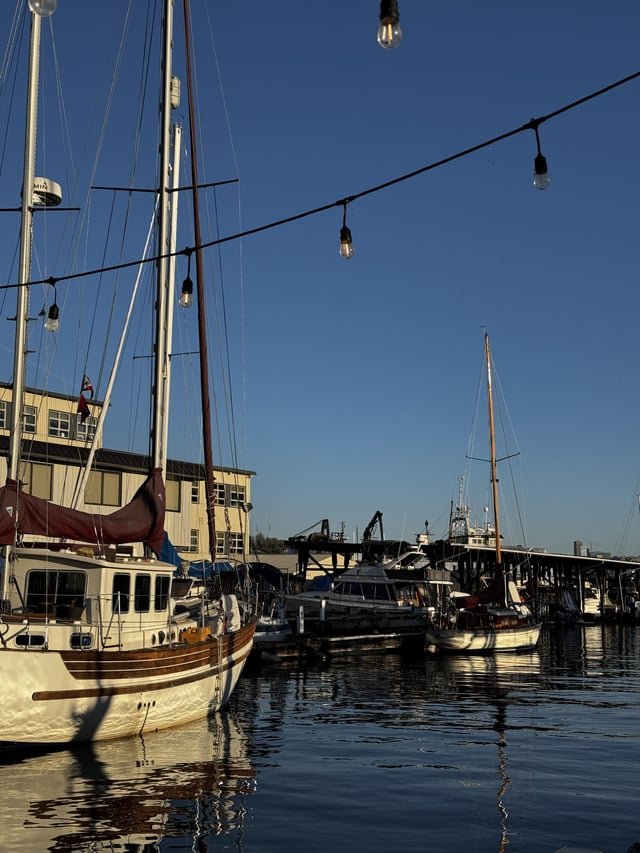 Happy sunny evening, y’all.