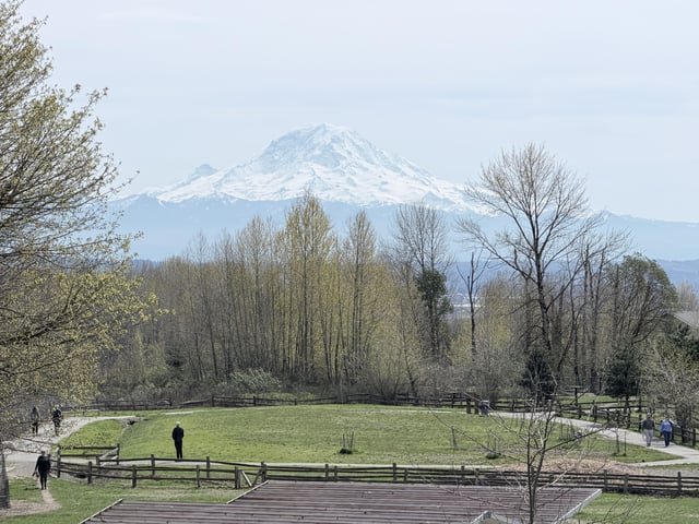 Now that is a GRANDview.