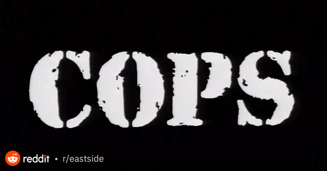 Cops on Mercer island