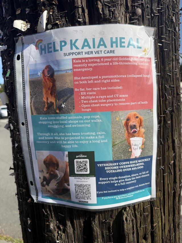 Saw this sign walking down Magnolia today. Help Kaia Heal!!