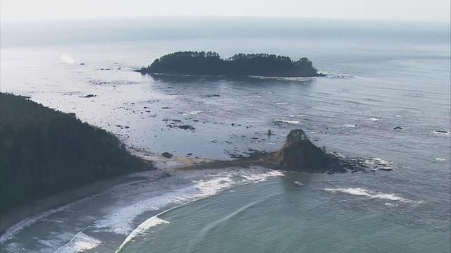 UW study shows PNW waters acidifying faster than rest of world’s oceans