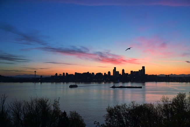 WEST SEATTLE SUNDAY: 21 options, morning to night!