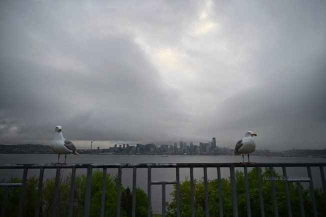 TRAFFIC CAMS, WEATHER, TRANSIT: April’s penultimate day