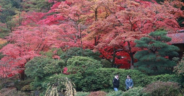 Seattle Japanese Garden set to close temporarily