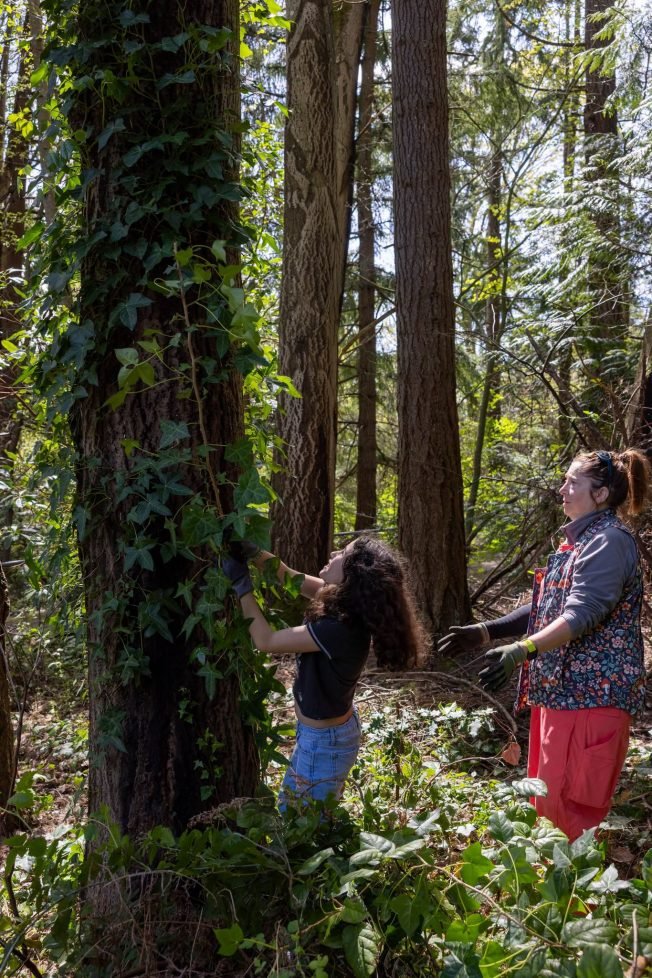 YOU CAN HELP: Camp Long welcoming volunteers Saturday – with a sweet incentive