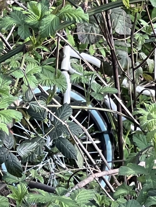 READER REPORT: Hidden bicycle, discovered