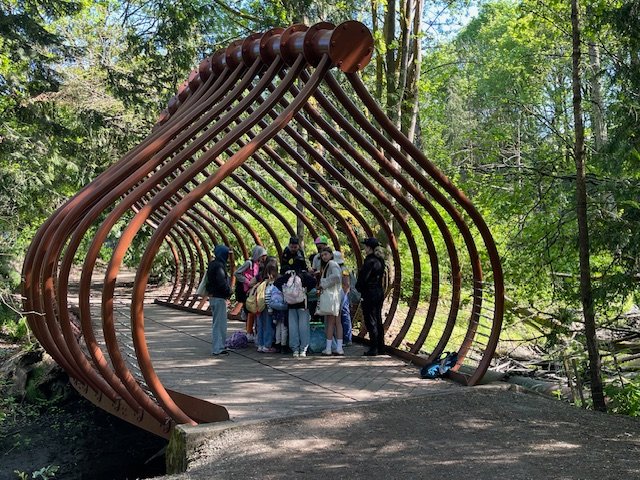 WEST SEATTLE SALMON: Sliding into Longfellow Creek