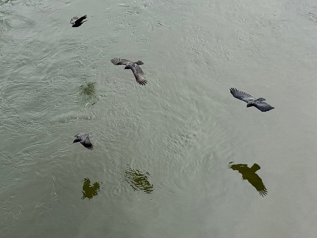 Harbor Island history tours, parent talks, library closure, lots of sports, much more for your West Seattle Thursday