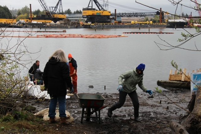 Duwamish River salmon get help from ‘floating wetlands’ built by students