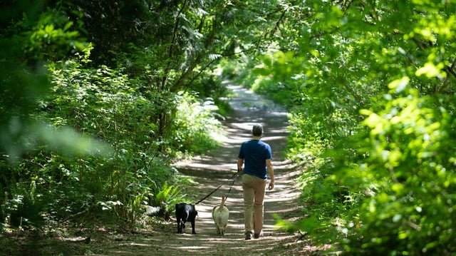 Seattle adds animal control staff as off-leash enforcement gets more visible