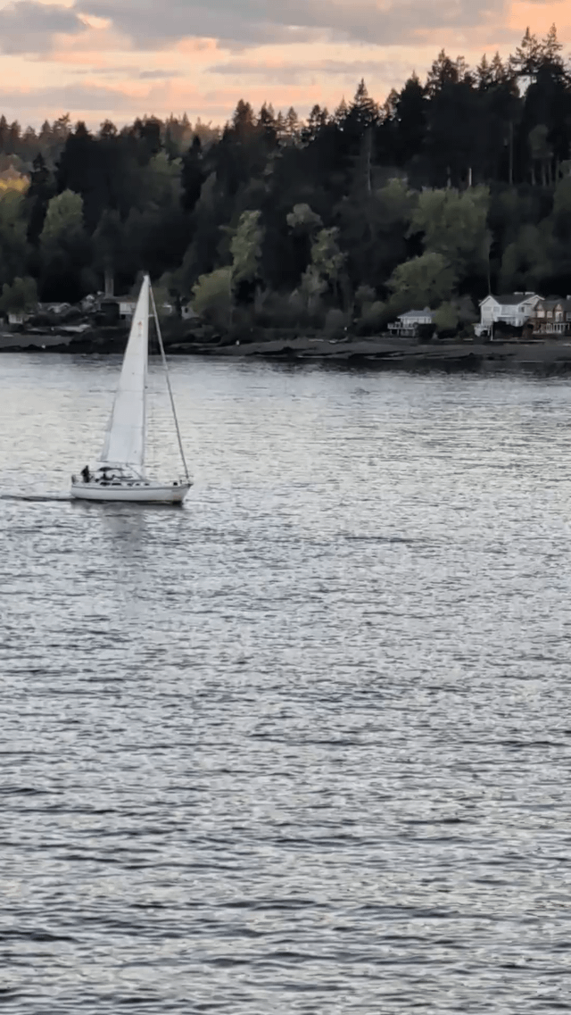 If you were sailing between West Seattle and Bainbridge Island at 8pm yesterday, here’s your video