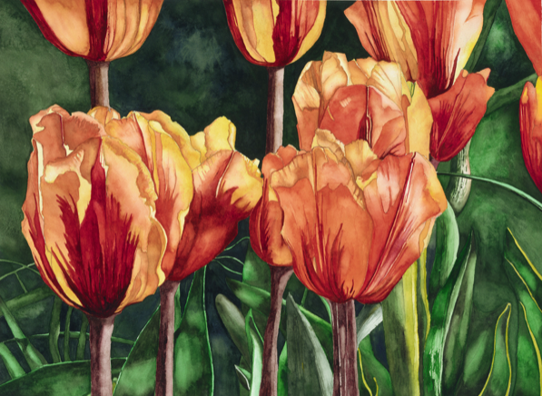 West Seattle Garden Tour can help your nonprofit grow! Grant applications open now