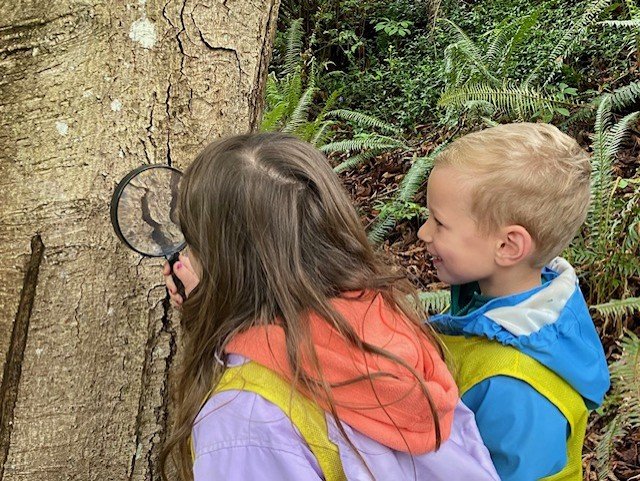 Four-year-old scientists? Yes!