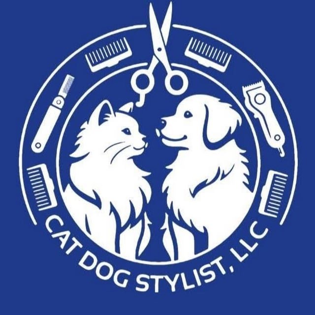 Cat Dog Stylist – Youtube