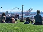 Carpe Diem Seattle. The weather is crazy-great!