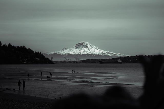 The mountain from Discovery park yesterday