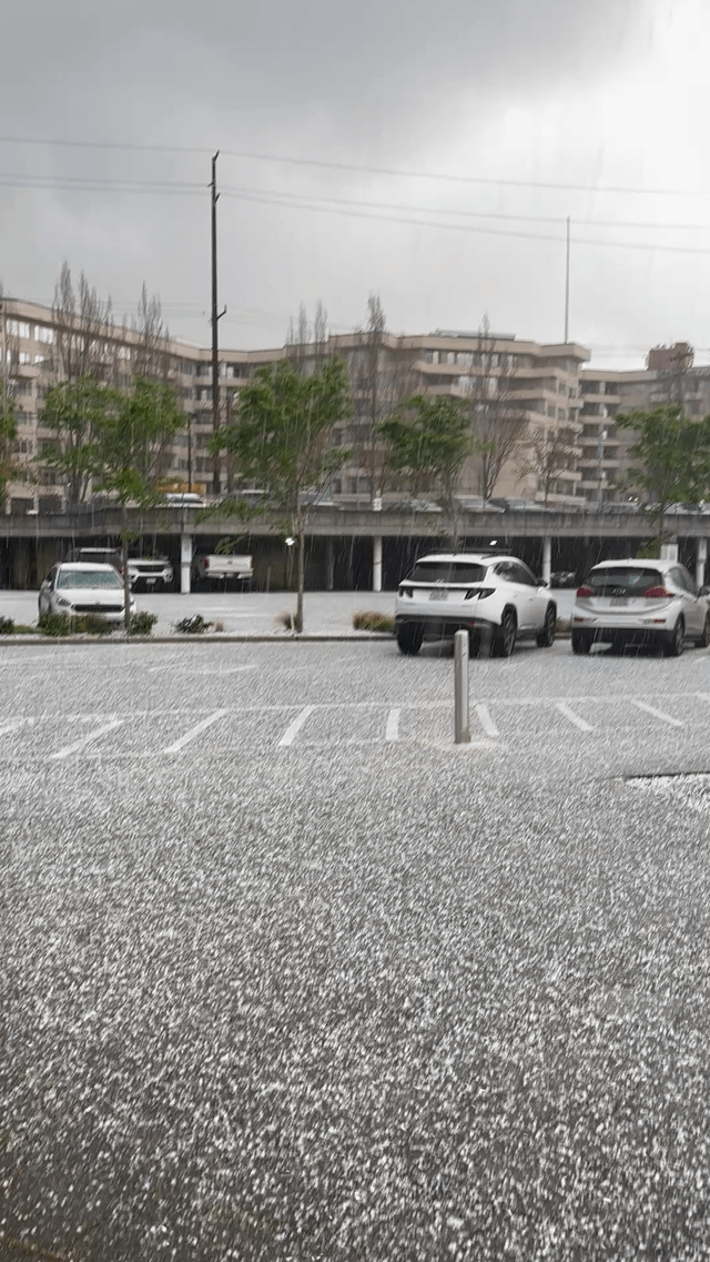 SLU right now, be careful out there!