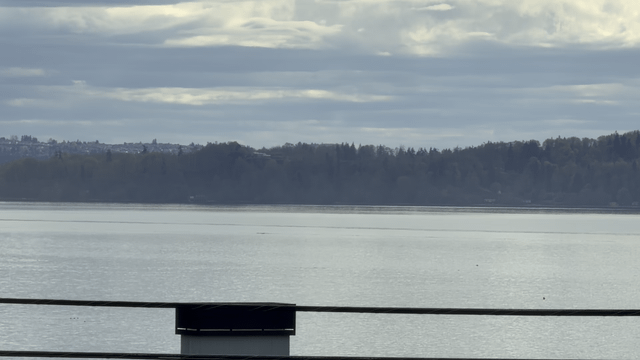 Orcas in Normandy Park today