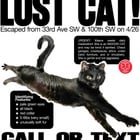 STILL MISSING! LOST CAT – 33rd Ave SW & SW 100th (White Center/Arbor Heights)