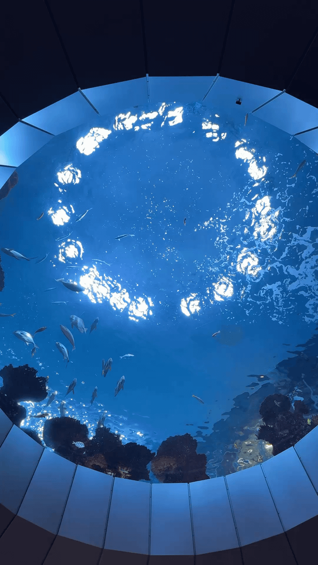 Love the tiny window at the ocean pavilion… if you’re walking by this don’t forget to look up!