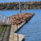 Maternity ward in Ballard.