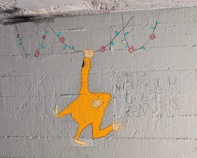 Thanks Pongo! A warm welcome on a warm day