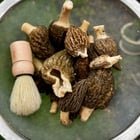 Randomly found morels in my front garden while weeding. 😮 (Wedgwood)