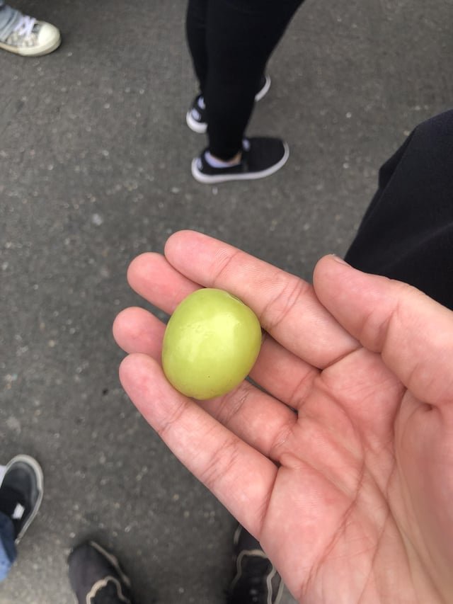 I didn’t know grapes got this big (Pike Place)