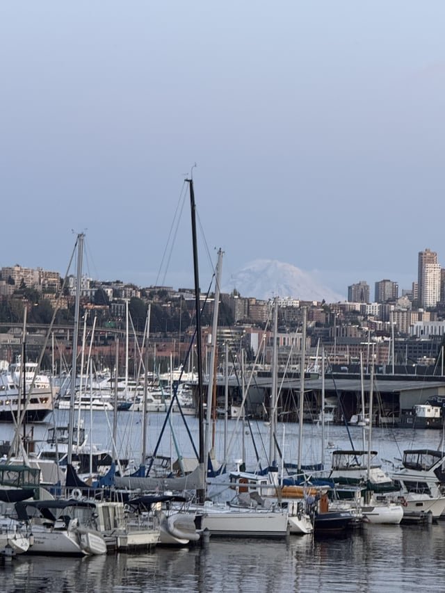 Mt Rainier peaking next to UW skyline tonight