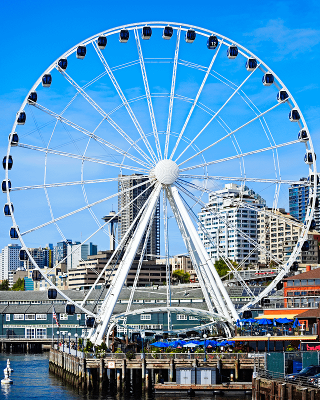 Seattle Great Wheel + Space Needle