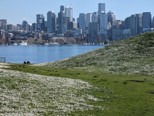 Gasworks this afternoon – INLS