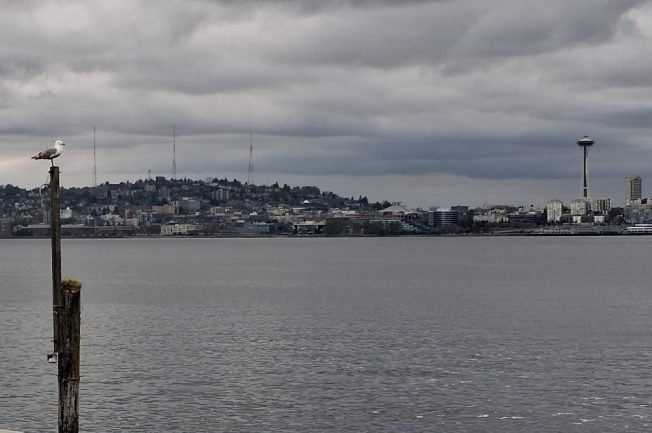 HPAC gathering, free shredding, dine-out fundraiser, more on our list for your West Seattle Wednesday!