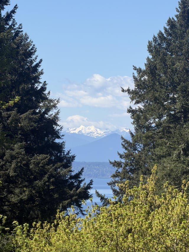 Nice view from Llandover today.