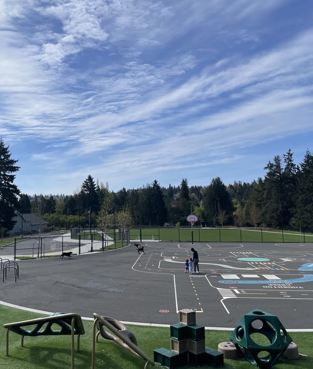 I am once again asking you to leash your dogs in public places