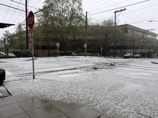 Walked out of the DMV to this