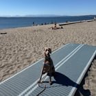 Enioying that vitamin d