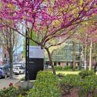 A Liminal Walk Through Met Park East after a Matinee: 4/26/26, 4:01 PM – 4:04 PM
