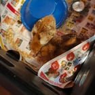 Anyone here a chicken owner who can take two baby chicks?